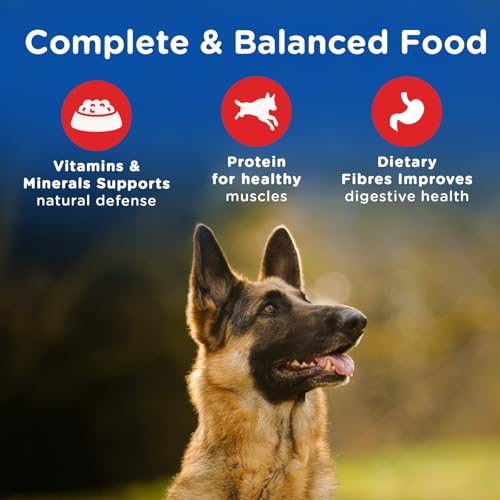 Chappi Adult Dry Dog Food