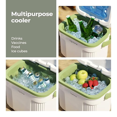 Lifelong 10L Insulated Chiller Ice