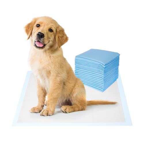 Amazon Basics Dog And Puppy