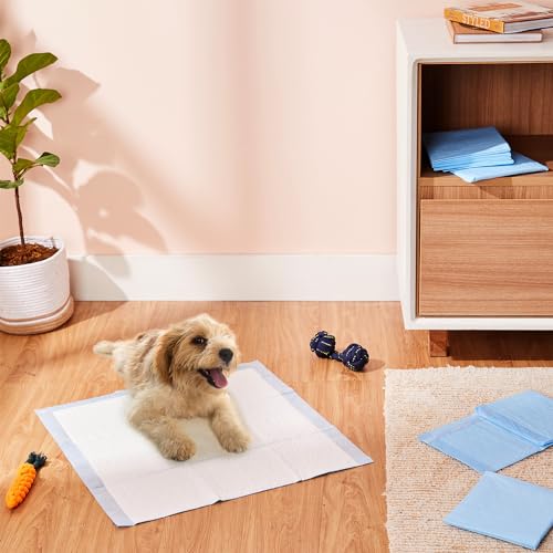 Amazon Basics Dog And Puppy