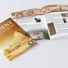 World History - Collection