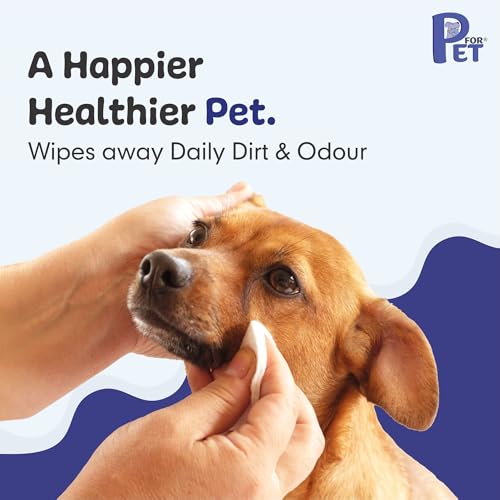 Grooming Wet Wipes 200 Count