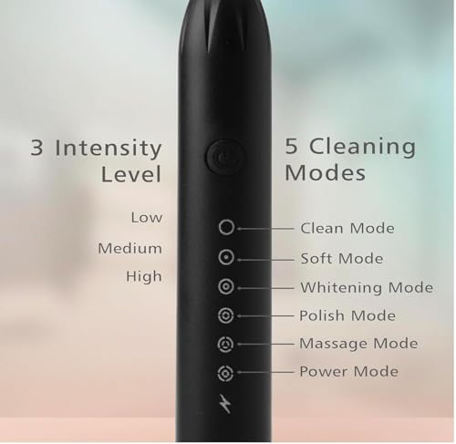 Sonic Electric Toothbrush for Adults