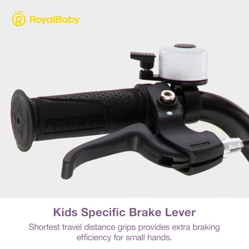 RoyalBaby Kids Bike 20 Inch