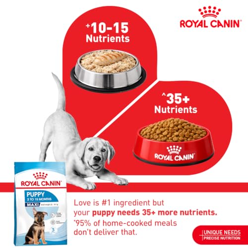Royal Canin Maxi Puppy, Dry Food, 4 kg - Image 3