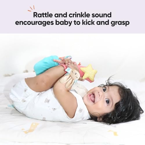 Curious Cub Rattle Set Toy