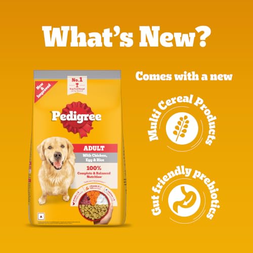 Pedigree Adult Dry Dog Food
