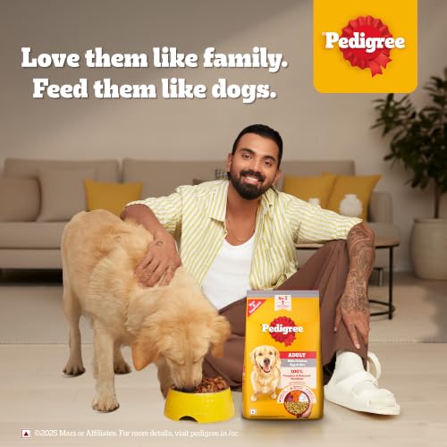 Pedigree Adult Dry Dog Food