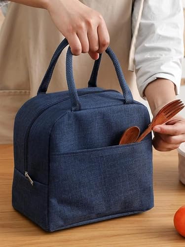 Insulated Lunch Bag for Office, School, Men, Women, Hot & Cold Lunch Box, Tiffin Pouch (Blue Bag)