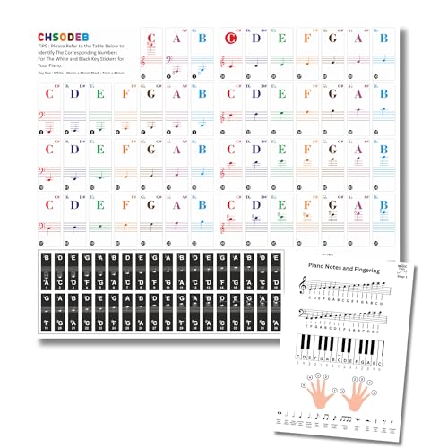 Piano Learning Kit for Beginners
