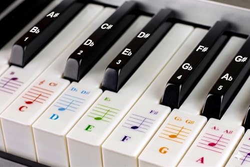 Piano Learning Kit for Beginners