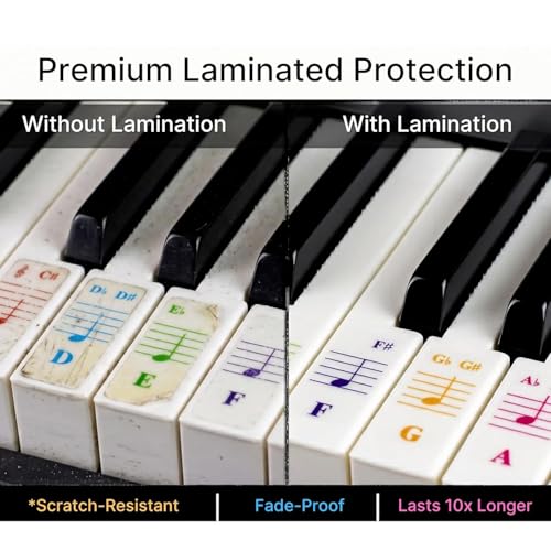 Piano Learning Kit for Beginners