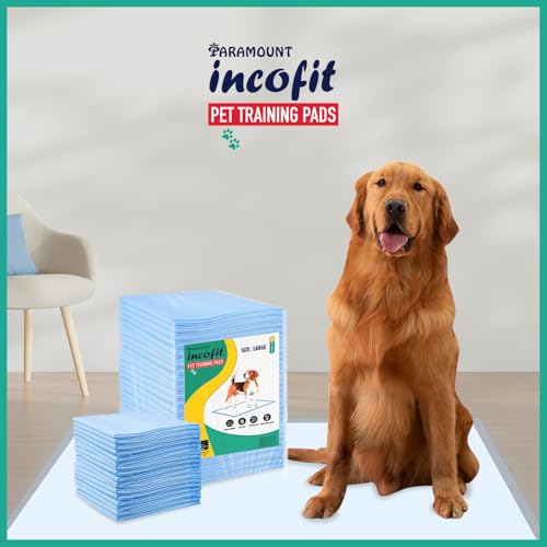Incofit Pet Training Pads 60