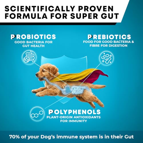 Godrej Ninja Puppy Dry Dog