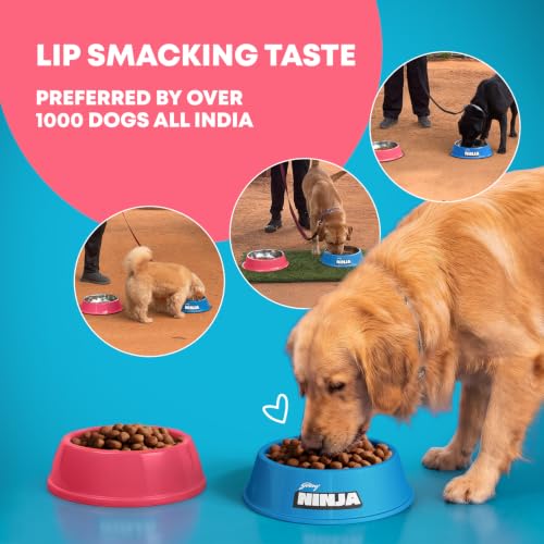 Godrej Ninja Puppy Dry Dog