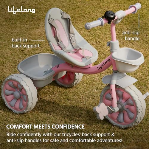 Lifelong Trike Cycle for Kids