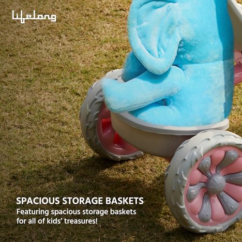 Lifelong Trike Cycle for Kids