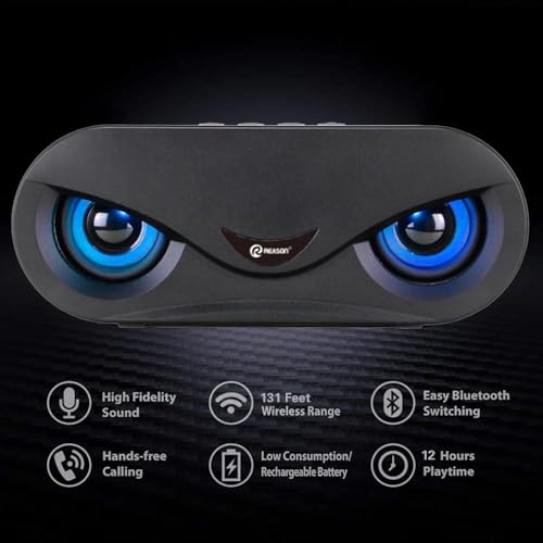 Falcon Wireless 10W Bluetooth Speaker