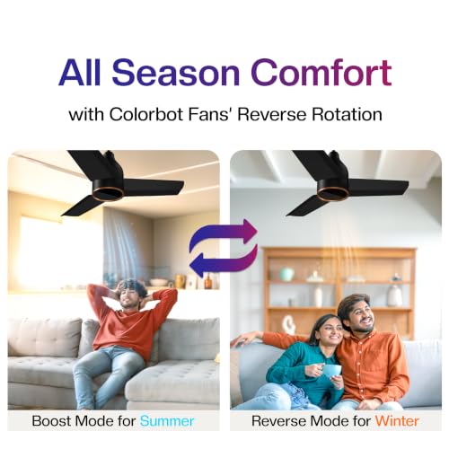 Colorbot Prizma BLDC Ceiling Fans