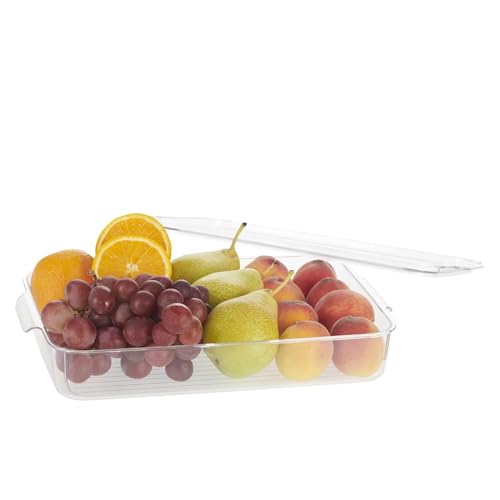 Steelo Sofresh Small Organiser Plastic