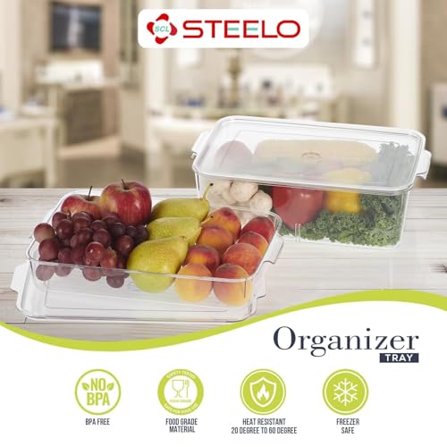 Steelo Sofresh Small Organiser Plastic