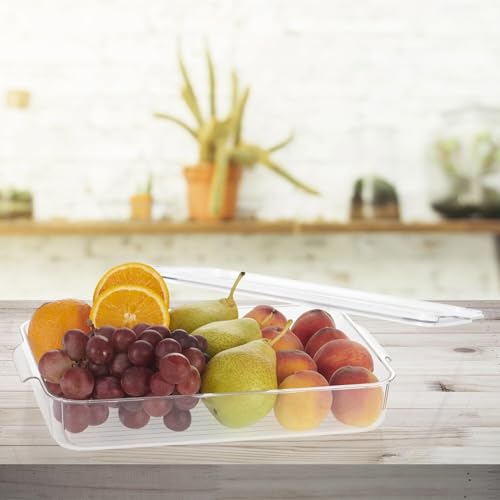 Steelo Sofresh Small Organiser Plastic
