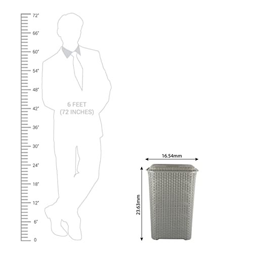 Cello Eliza Laundry Basket