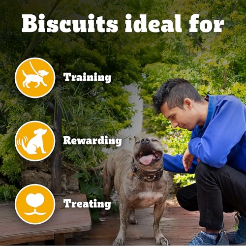 Pedigree Biscrok Biscuits Dog Treats