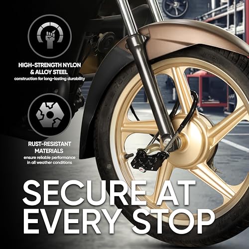 TVS Disc Lock For Bikes