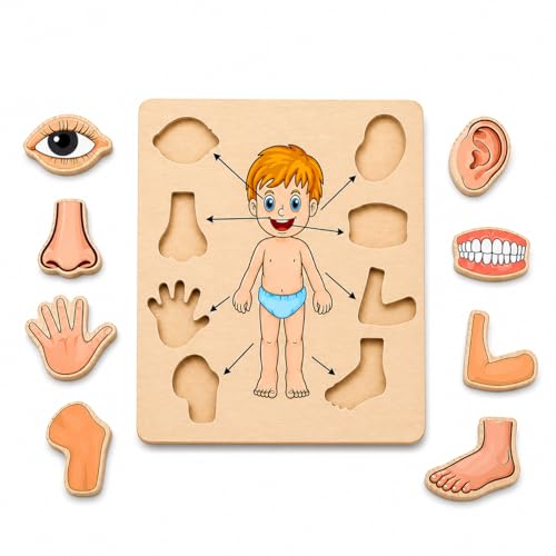 Body Part Puzzle Kids Wooden