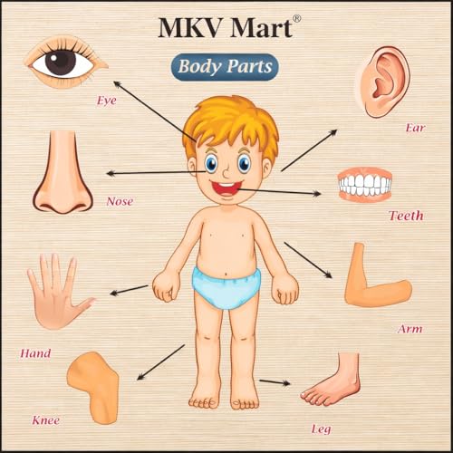 Body Part Puzzle Kids Wooden