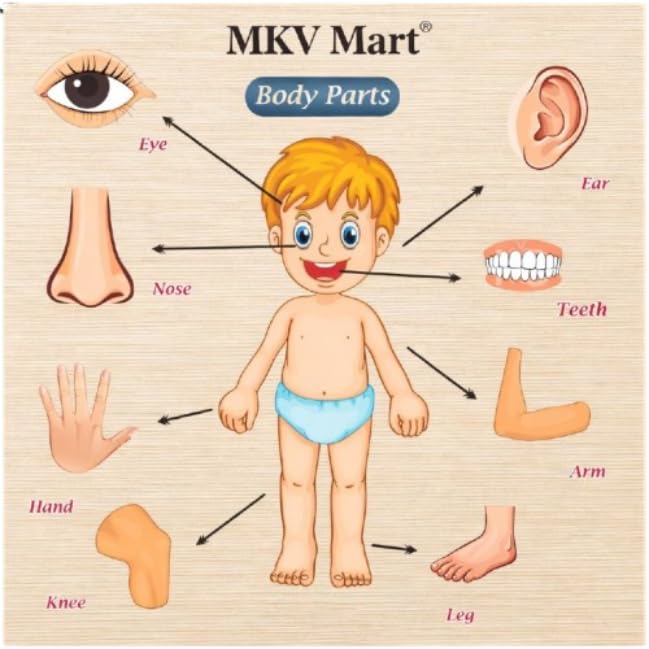 Body Part Puzzle Kids Wooden