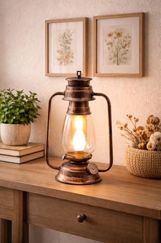 Tu Casa Transparent Glass Shade