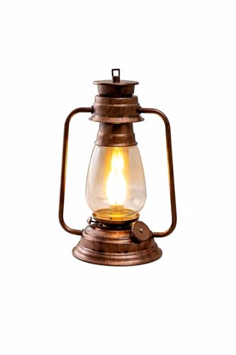 Tu Casa Transparent Glass Shade