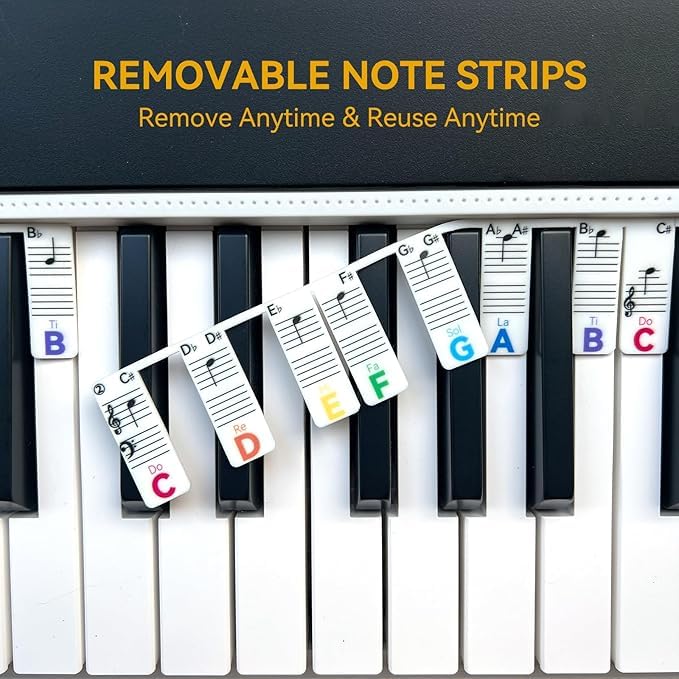 Removable Piano Key Stickers Note