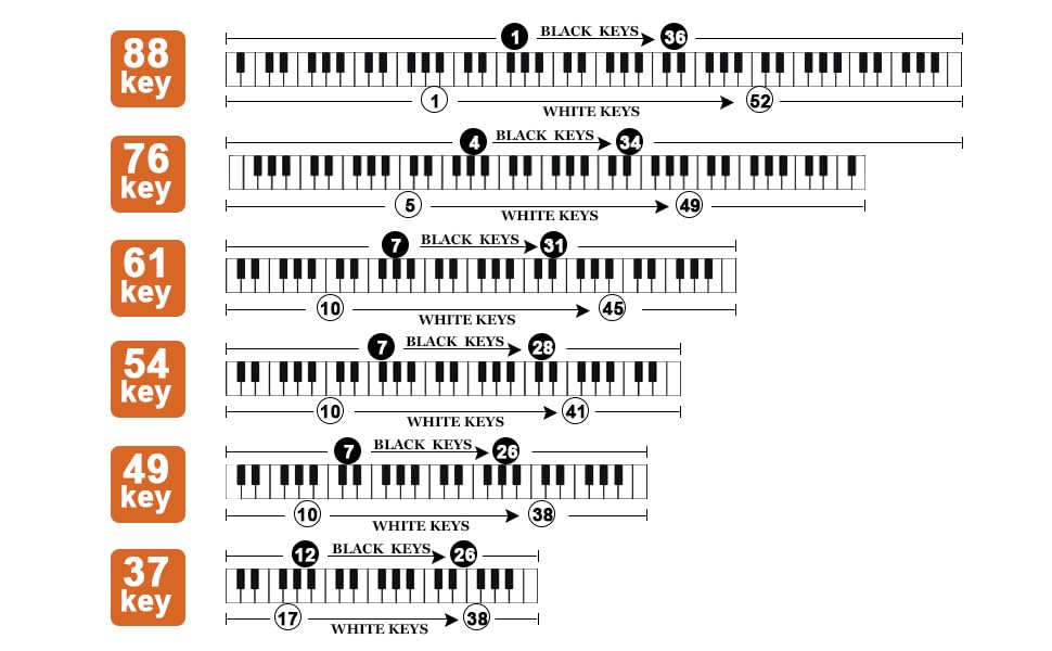 Removable Piano Key Stickers Note