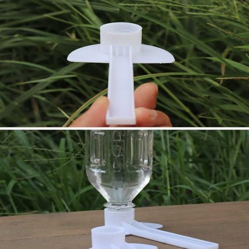 Honey Bee Box, Bee Waterer