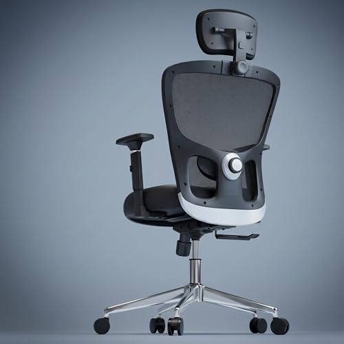 Urbanova Pro Ergonomic Office Chair
