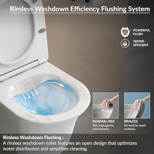 Plantex Ceramic Wall Hung Commode