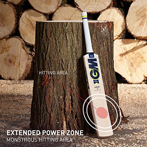GM Prima Maxi English Willow Short Handle Cricket Bat - Image 2