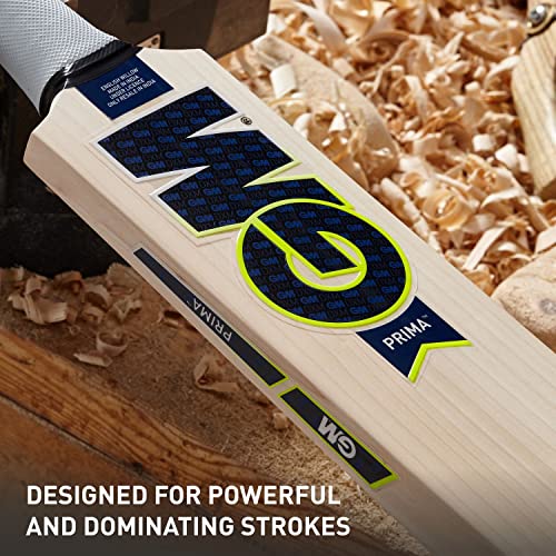 GM Prima Maxi English Willow Short Handle Cricket Bat - Image 3