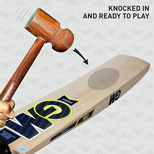 GM Prima Maxi English Willow Short Handle Cricket Bat - Image 4