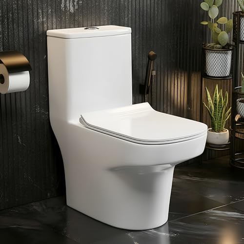 Plantex Ceramic Commode for Toilet/One