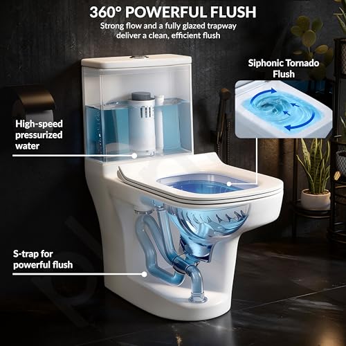 Plantex Ceramic Commode for Toilet/One