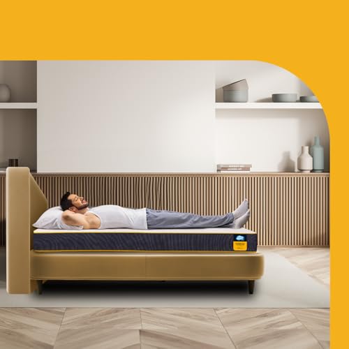 Centuary Mattresses Sleepables | 7