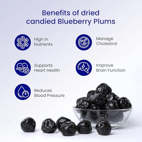FreshoCartz Dried Blueberry Plum 500gm