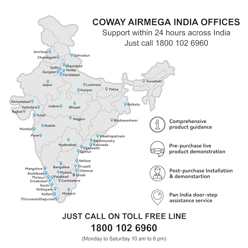 Coway Professional Air Purifier