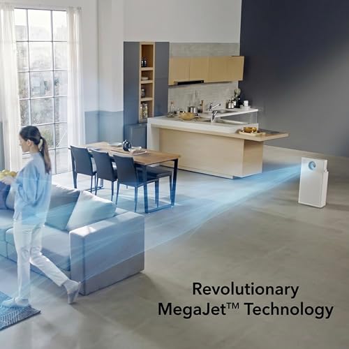Coway Professional Air Purifier