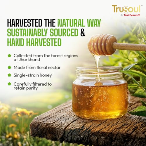 Baidyanath Trusoul Pure & Natural