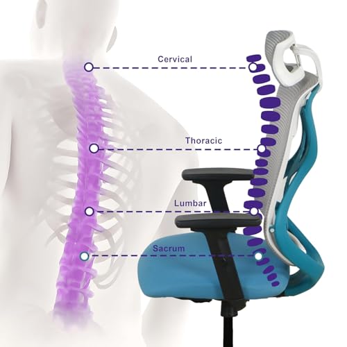 Wakefit Gravita Ergonomic Office Chair